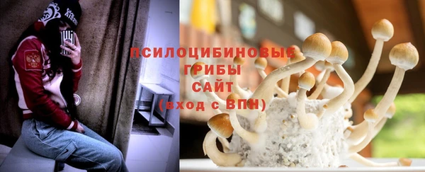 прущие крисы Армянск