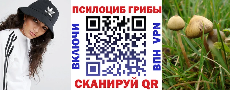 где можно купить наркотик  Талица  Псилоцибиновые грибы Magic Shrooms 